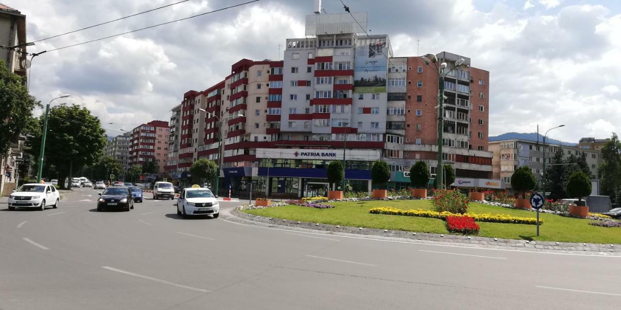 Ama Apartment Mountain View & Parking Braşov Exterior foto